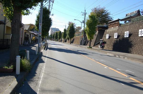 Local photos, including front road. Front 16.0m road