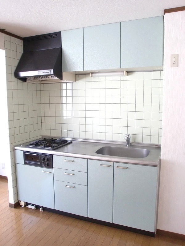 Kitchen. Reference photograph