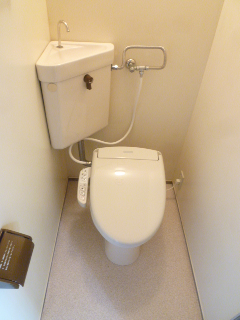 Toilet. Is the image of the other room.