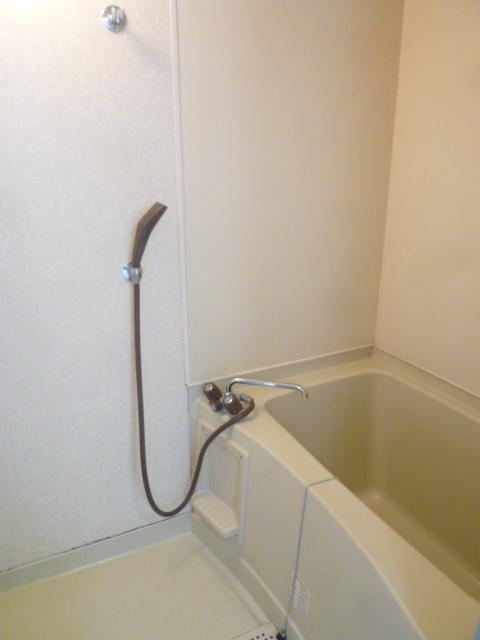 Bath. Is the image of the other room.