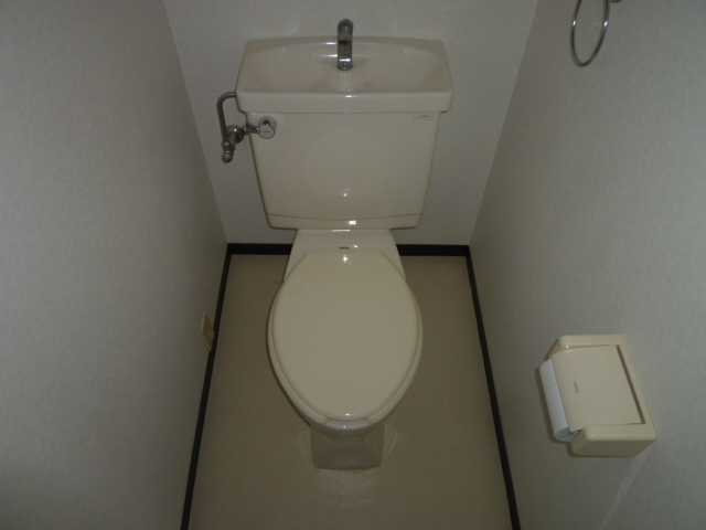 Toilet. It is a photograph of another room
