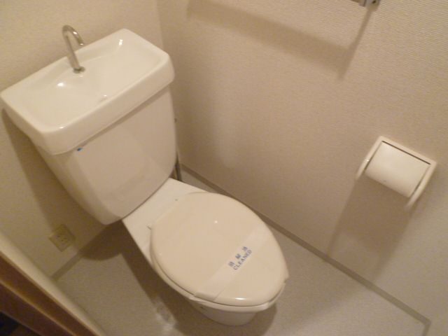 Toilet. It is a photograph of another room.