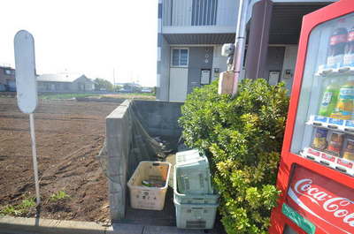 Other. Until the other (Other) 5m