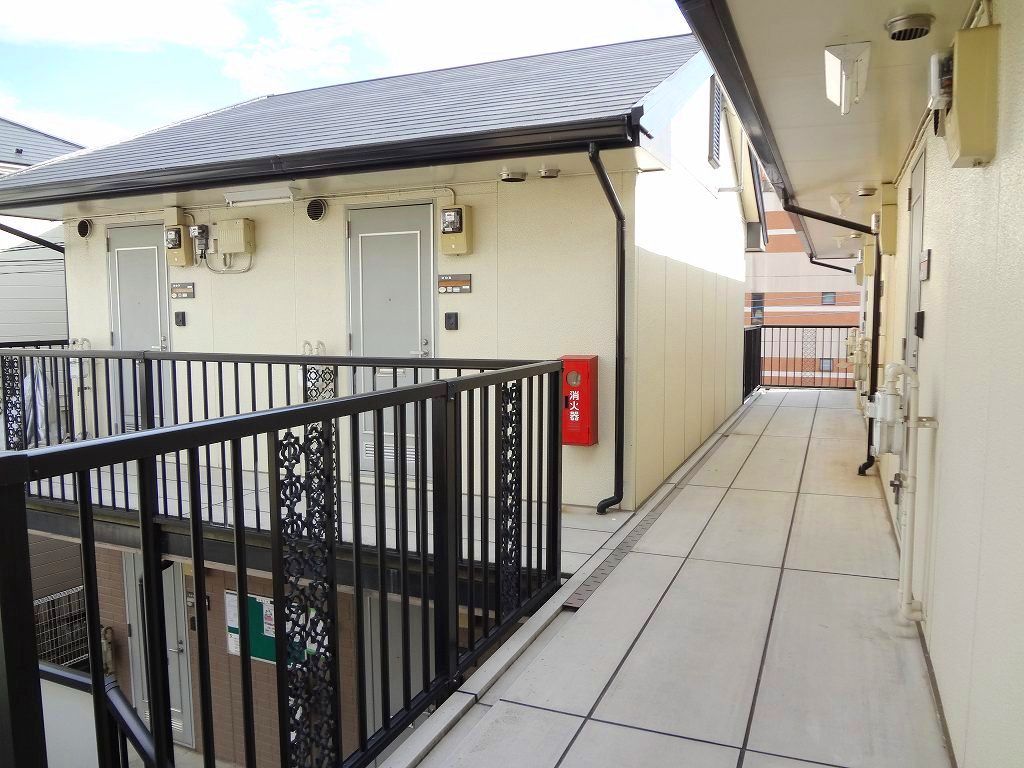 Other. Reference photograph