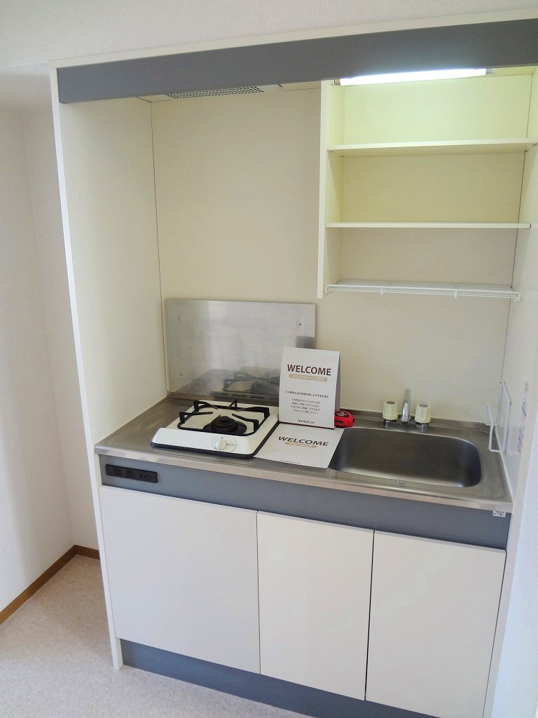 Kitchen. Reference photograph