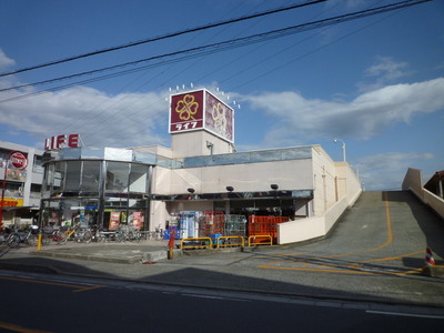 Supermarket. 2500m up to life (Super)