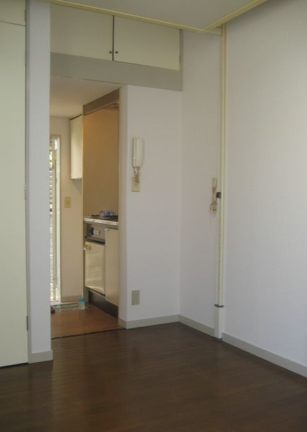 Living and room. Living