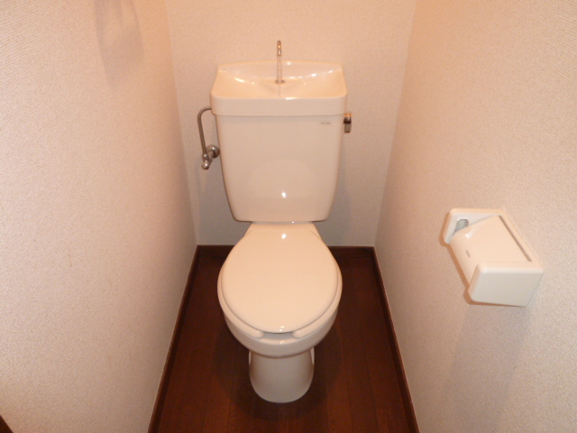 Toilet. For indoor photo of another room.