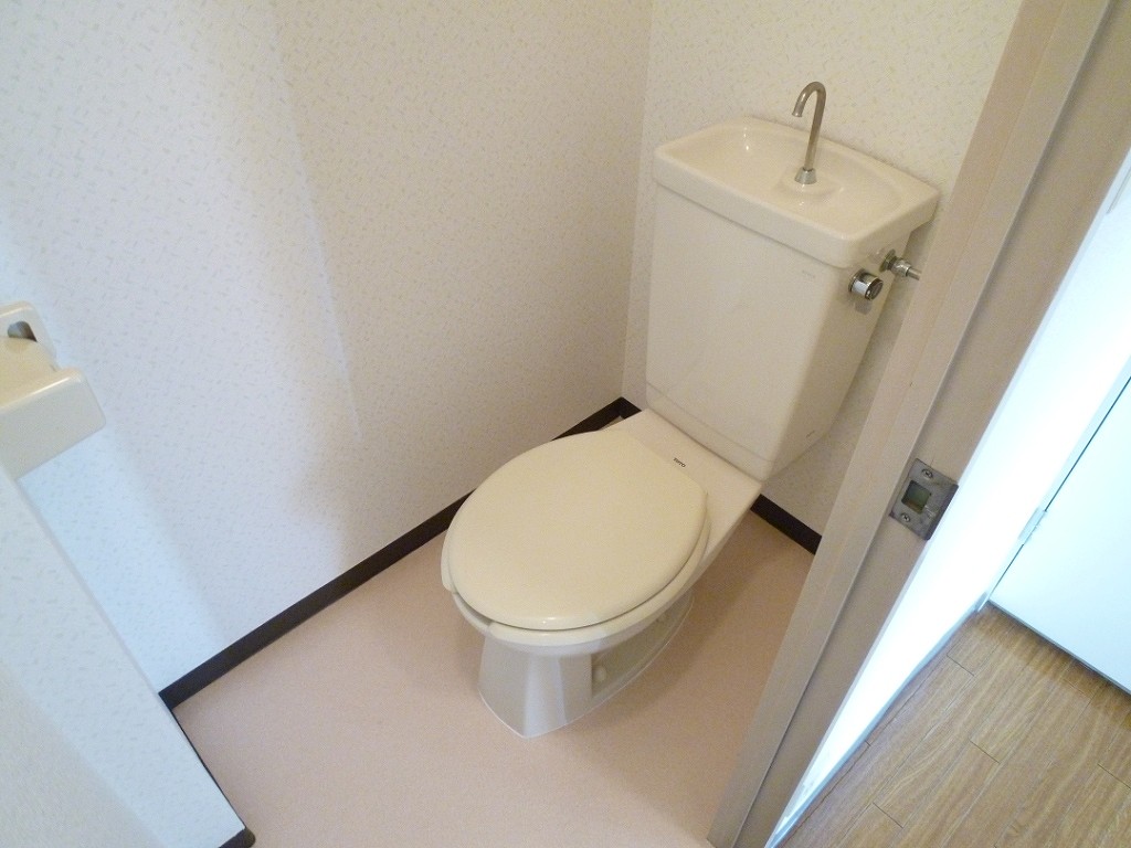 Toilet. Reference photograph
