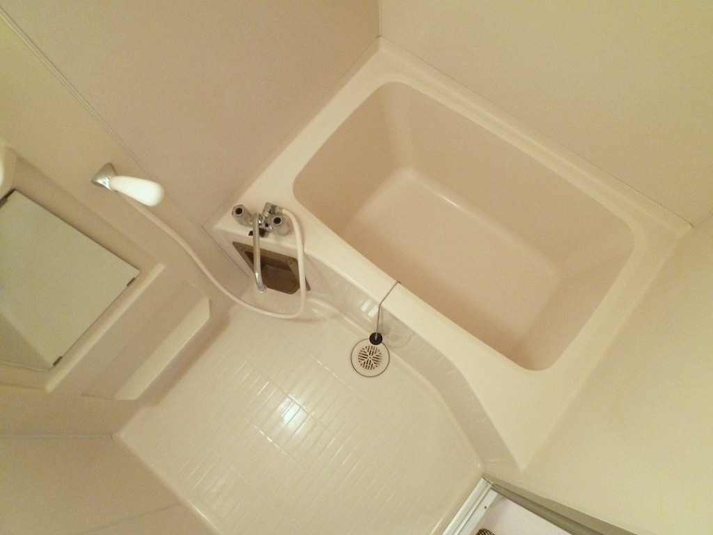 Bath. Reference photograph