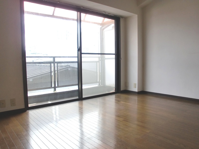 Living and room. Reference photograph