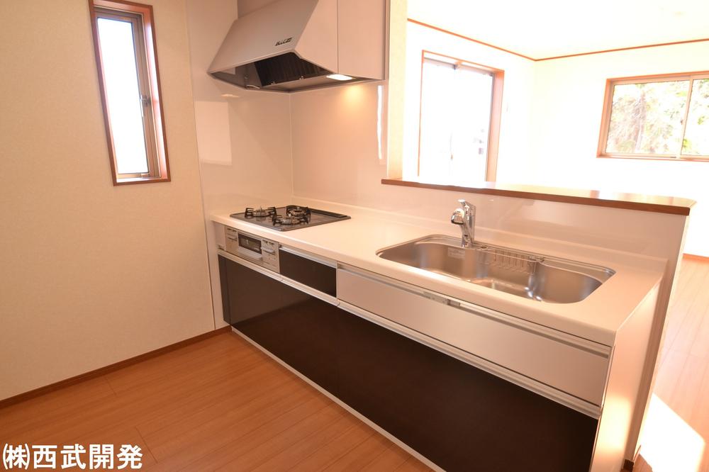 Kitchen. Indoor (12 May 2013) Shooting