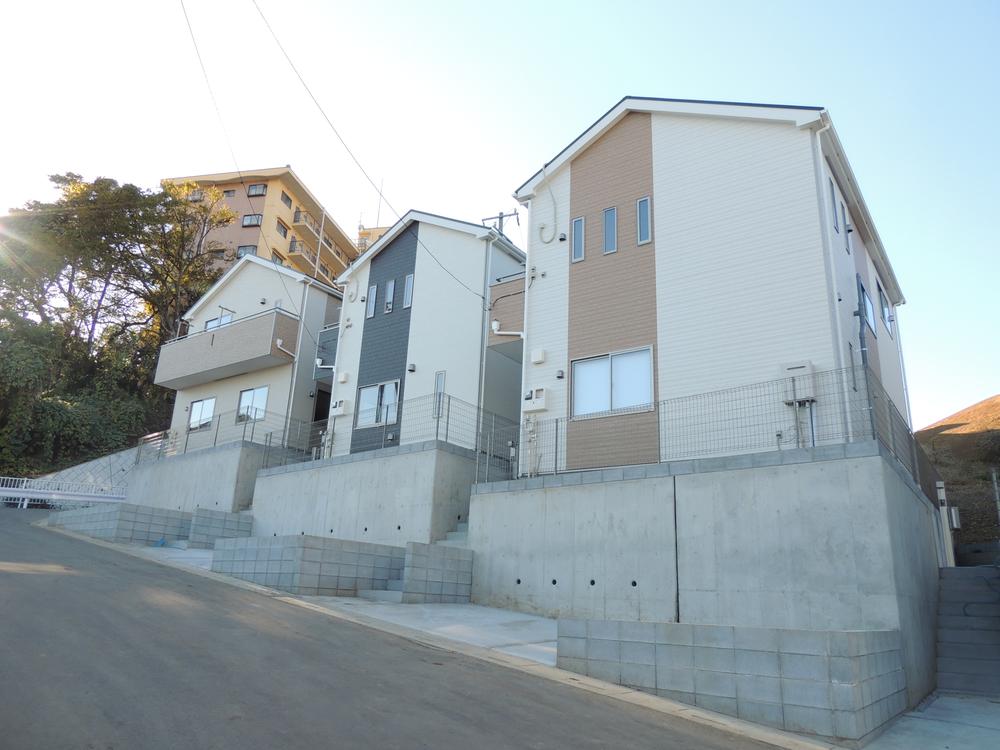 Local appearance photo. local