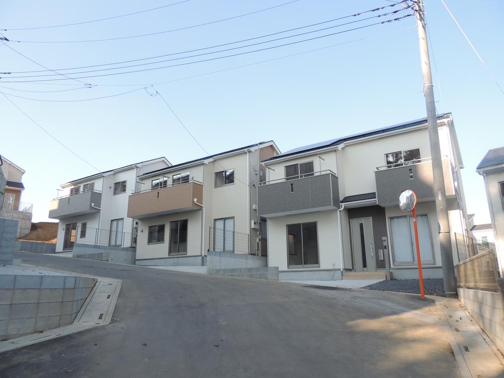 Local appearance photo. local