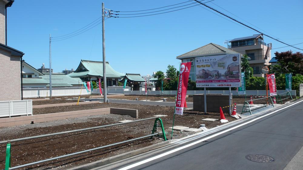 Local land photo. Local (May 2012) shooting