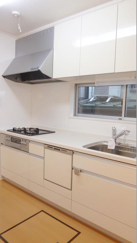 Kitchen. Indoor (12 May 2012) shooting