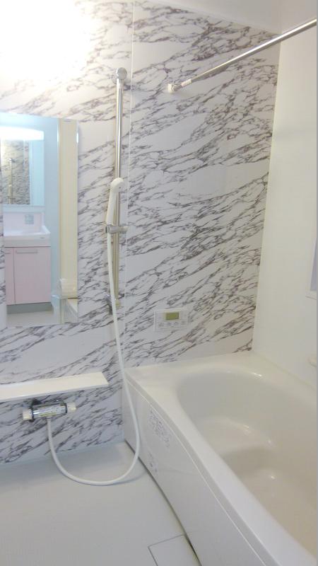 Bathroom. Indoor (12 May 2012) shooting