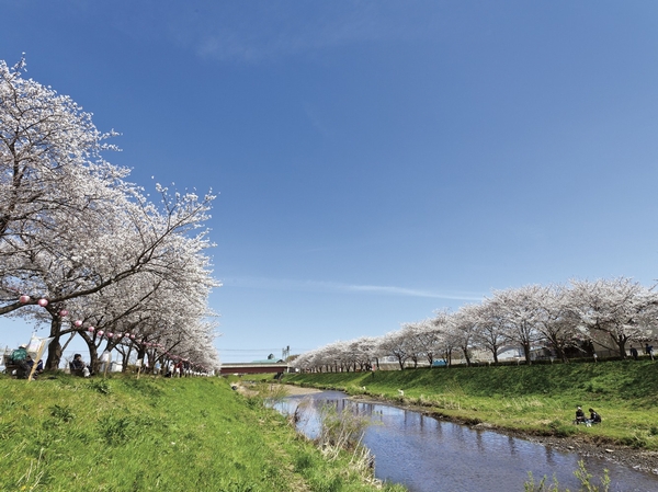Cherry trees are beautiful black eye River. Also fun to take a walk with your child likely (about 310m / 4-minute walk) ※ April 2013 shooting