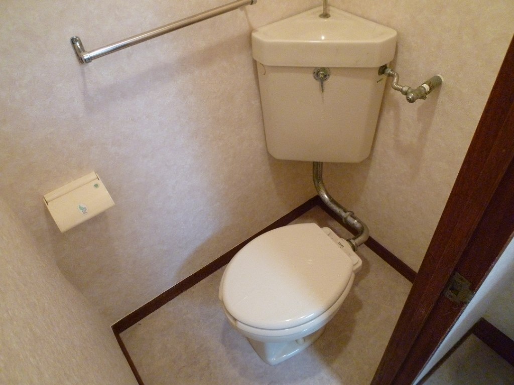 Toilet. Reference photograph