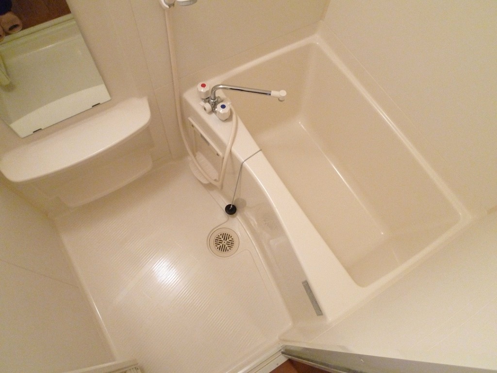 Bath. Reference photograph