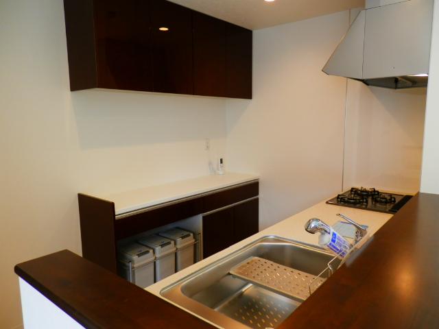 Kitchen. Local (August 2013) Shooting