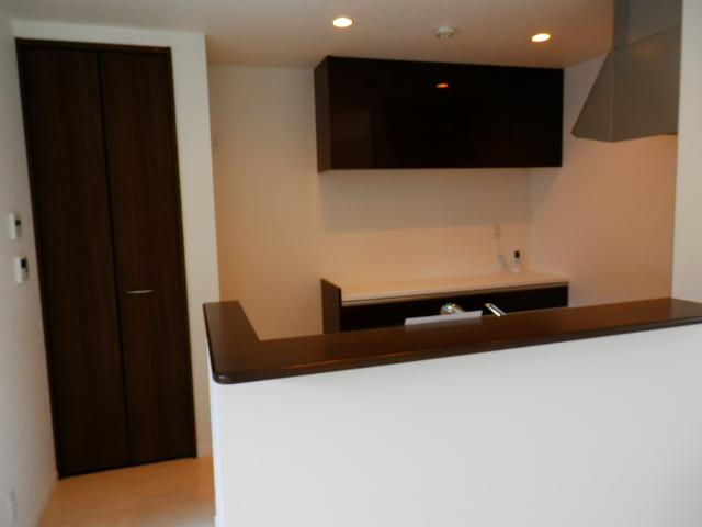 Kitchen. Local (August 2013) Shooting