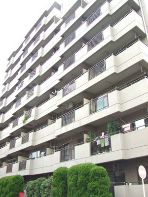 Building appearance. Day is good