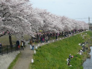 Other. 310m until the iris River (Other)