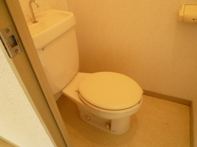Toilet. It is a photograph of another room of the same type.