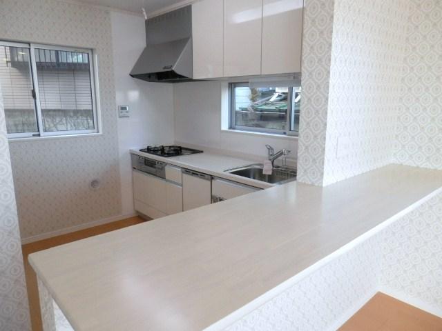 Kitchen. Local (11 May 2013) Shooting