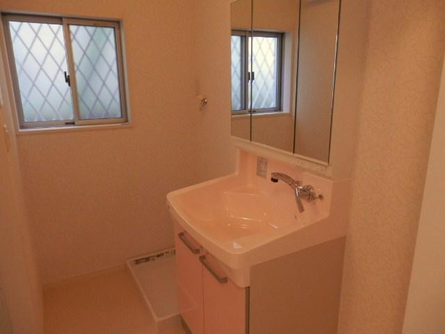 Other introspection. Local (11 May 2013) Shooting