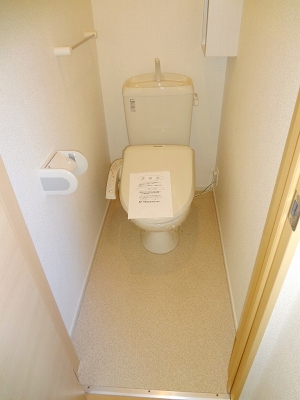 Toilet. The same type Property reference photograph