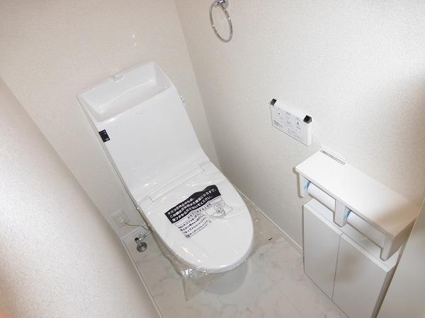 Toilet. Local (September 2013) Shooting