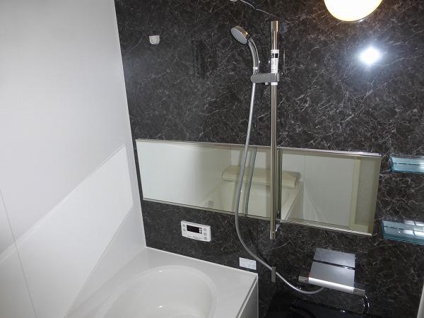 Bathroom. Local (September 2013) Shooting