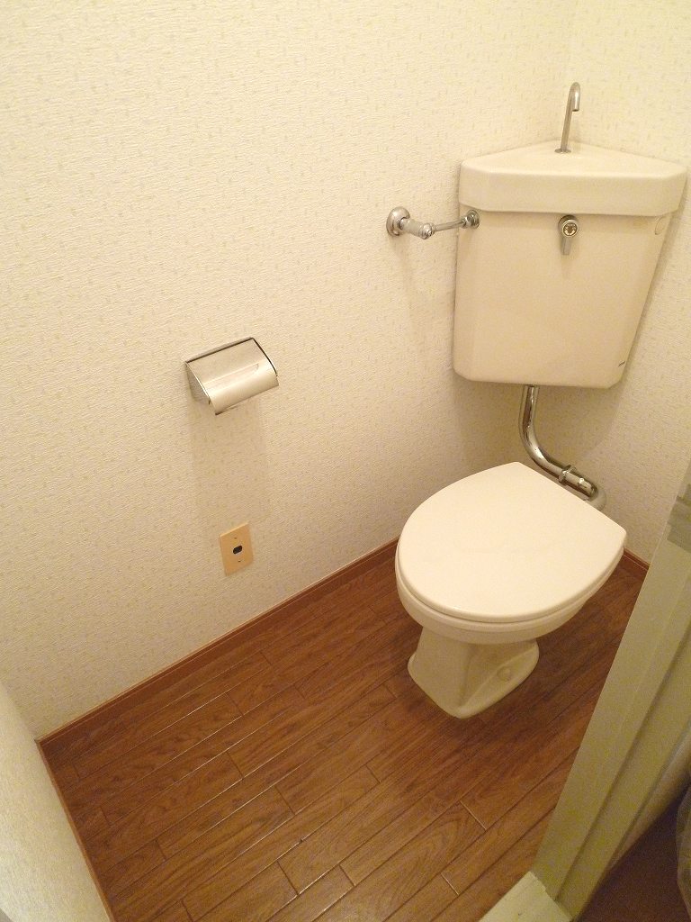 Toilet. Reference photograph of another in Room