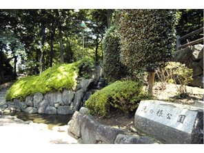 park. 350m until the waterfall of root park (park)