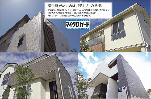 Other. Outer wall image