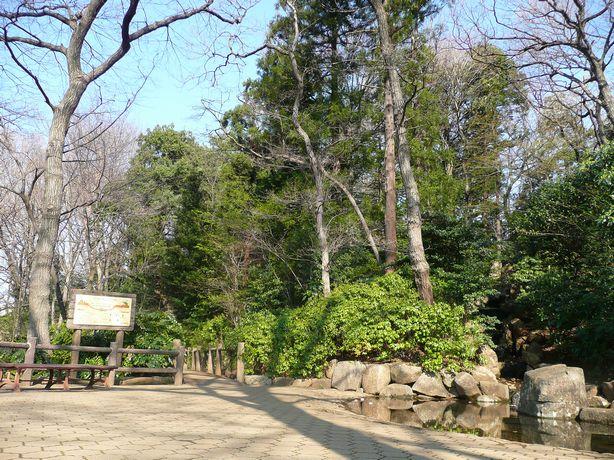 park. 845m until the waterfall of root park