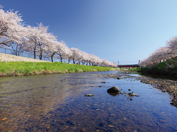 Surrounding environment. Iris River (about 840m / 11-minute walk)