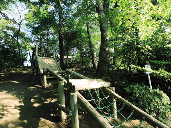Surrounding environment. Waterfall roots park (about 200m / A 3-minute walk)