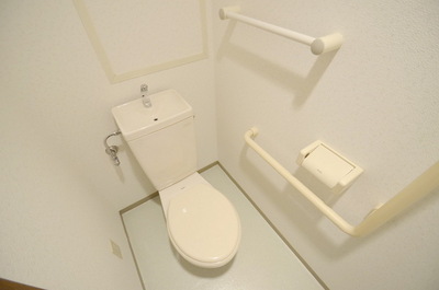 Toilet. Same type