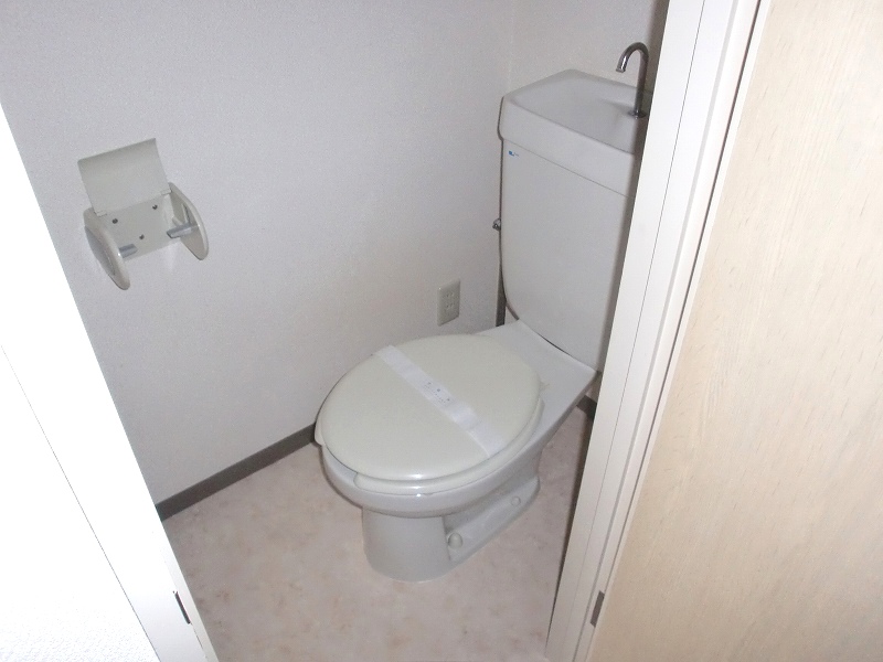 Toilet. Reference photograph