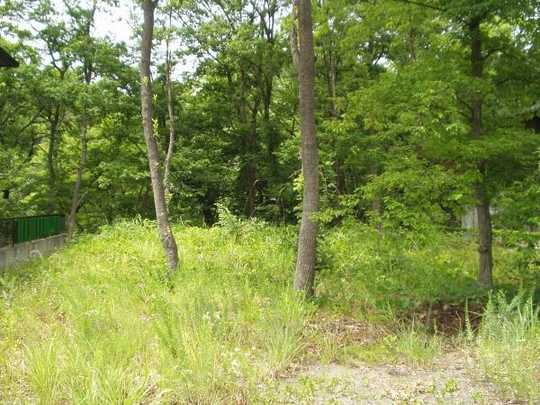 Local land photo. From the southeast side 1