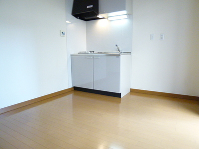 Living and room. Living room 3