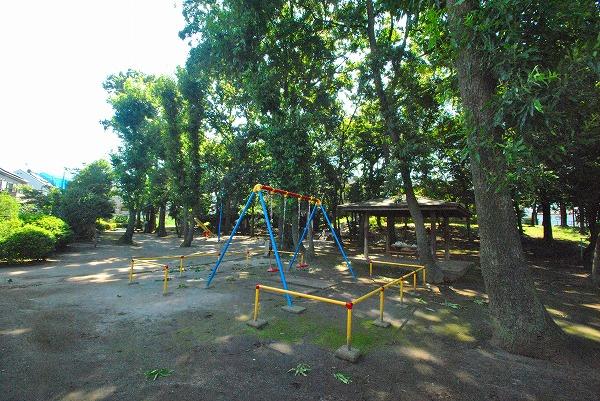 park. 1439m until the forest of kite