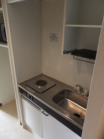 Kitchen. It is a compact kitchen