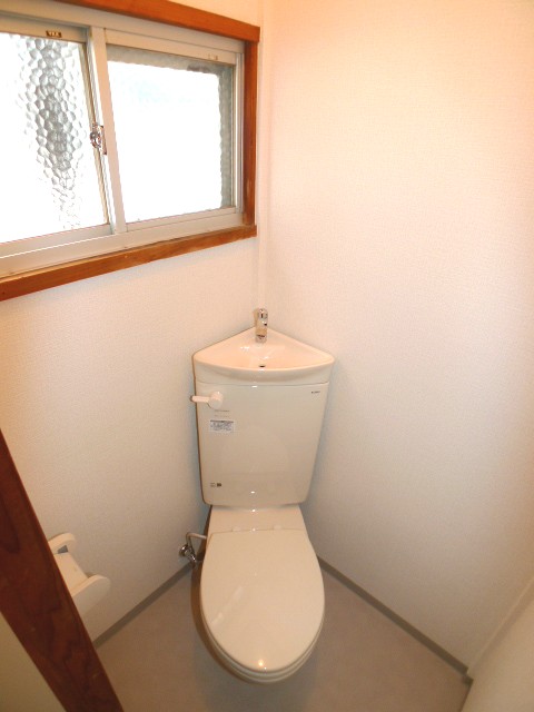 Toilet. Toilet of new