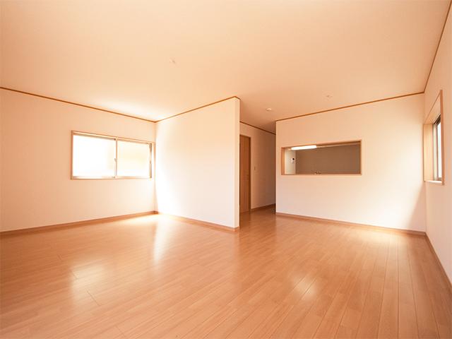 Living. Indoor (September 2013) Shooting