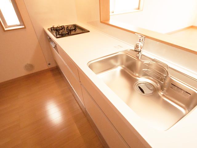 Kitchen. Indoor (September 2013) Shooting