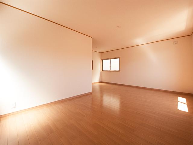 Living. Indoor (September 2013) Shooting